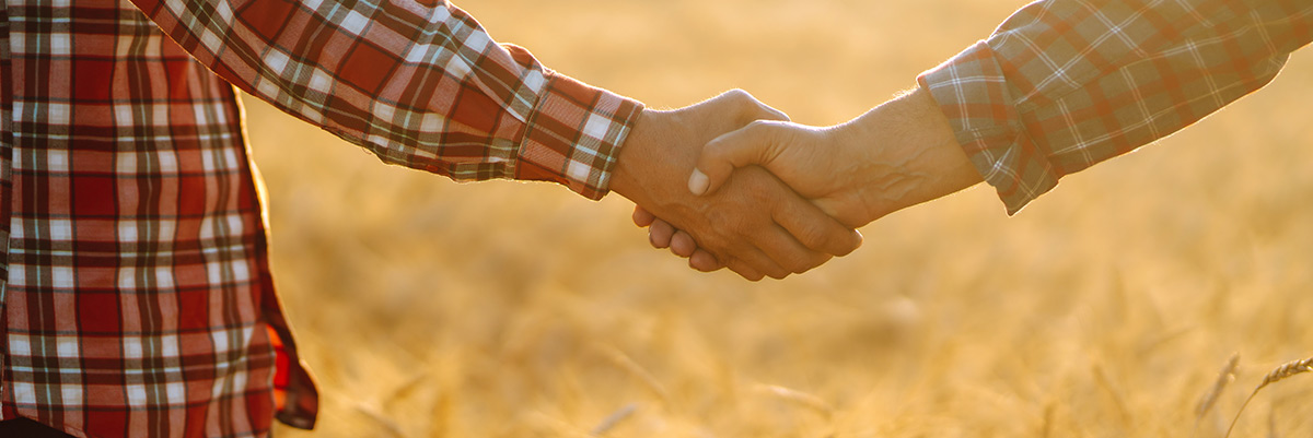 Canh tác theo hợp đồng ở Mỹ: Bắt đầu từ đâu