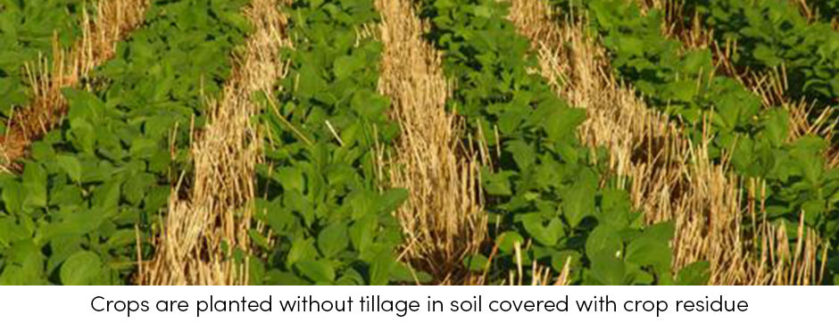 Canh tác bảo tồn có thể làm giảm biến đổi khí hậu như thế nào?