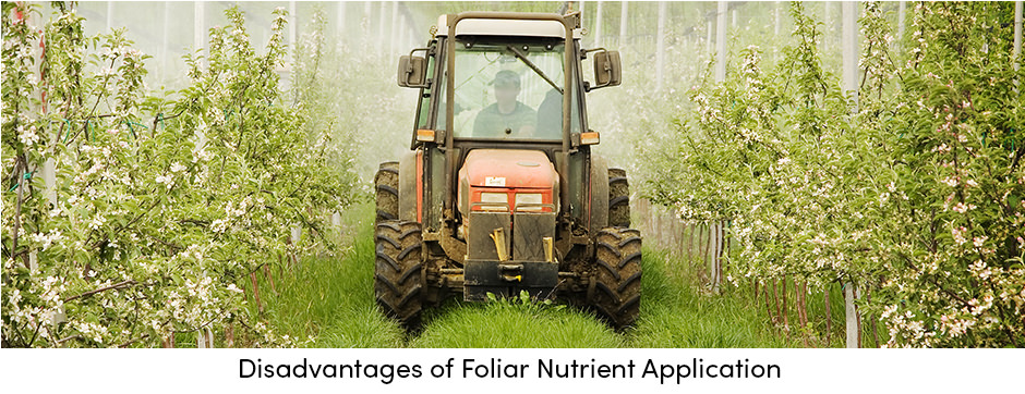 Quản lý dinh dưỡng cây trồng bằng phân bón lá