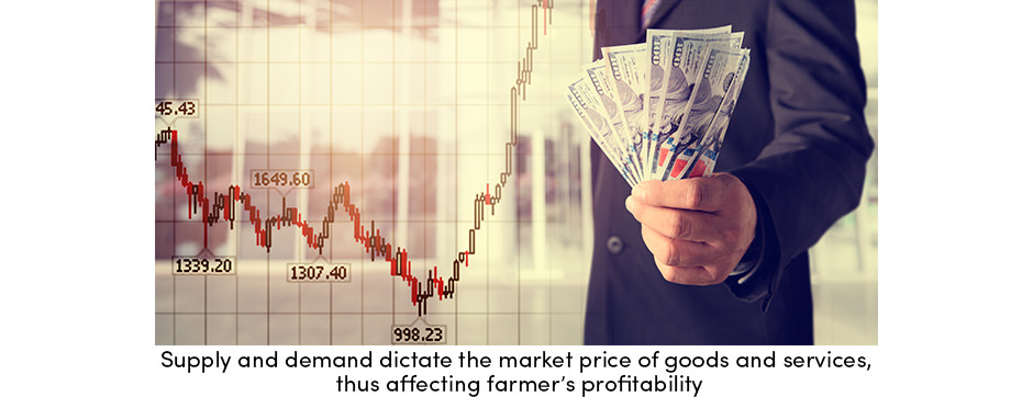 Cung và cầu ảnh hưởng đến khả năng sinh lời của nông dân như thế nào?