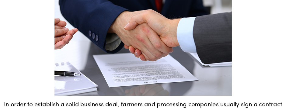 Đạt được sự xuất sắc trong hoạt động của chuỗi cung ứng