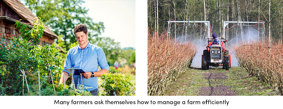 3 phẩm chất hàng đầu của một người quản lý trang trại thành công