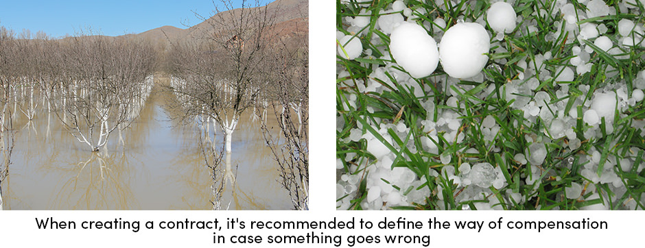 Đạt được sự xuất sắc trong hoạt động của chuỗi cung ứng