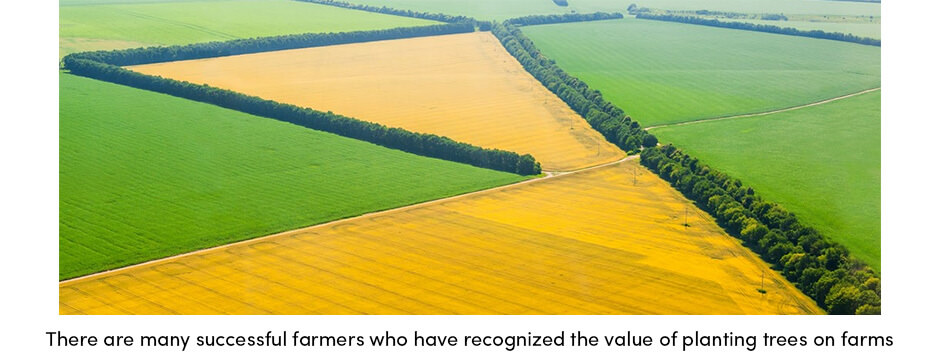 Rừng—Những người bảo vệ Thành phố, Trang trại và Hành tinh của chúng ta