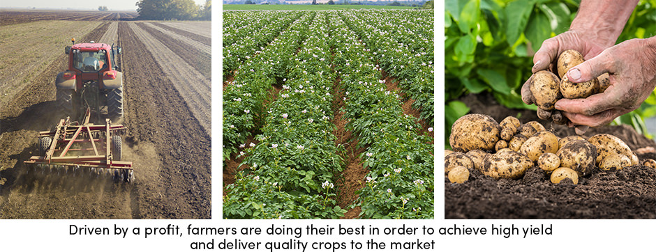 Cung và cầu ảnh hưởng đến khả năng sinh lời của nông dân như thế nào?