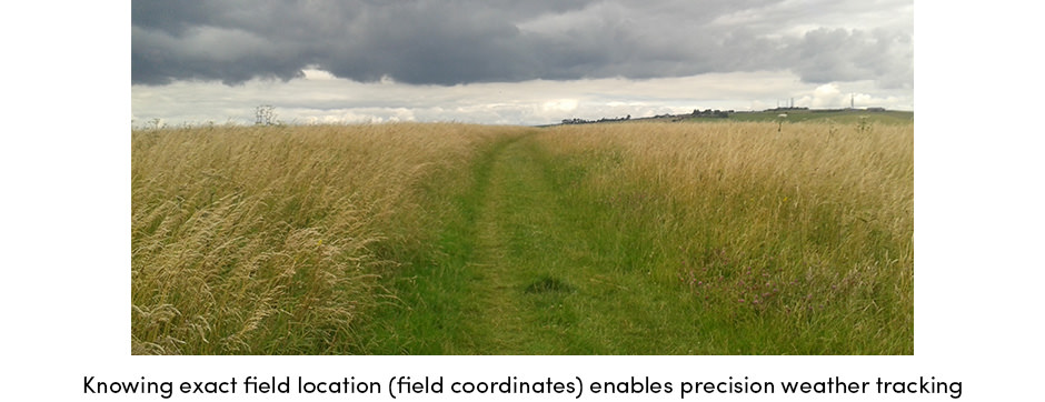 4 sự thật thực tế mà mọi nông dân nên biết