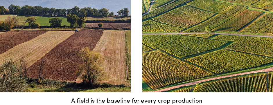 4 sự thật thực tế mà mọi nông dân nên biết