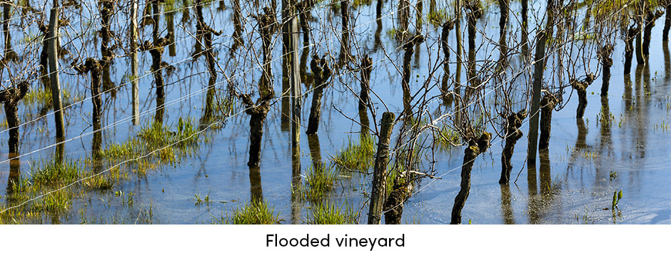 Tầm quan trọng của việc theo dõi thời tiết trong sản xuất trang trại