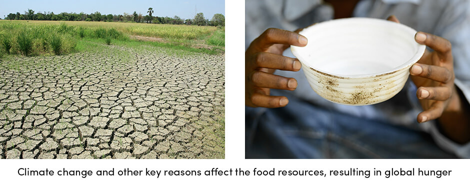 Giải pháp chìa khóa trao tay để xóa đói giảm nghèo trên toàn cầu