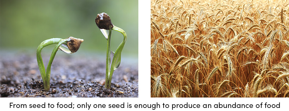 Giải pháp chìa khóa trao tay để xóa đói giảm nghèo trên toàn cầu