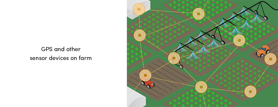Các trang trại trong tương lai sẽ giống như các nhà máy?