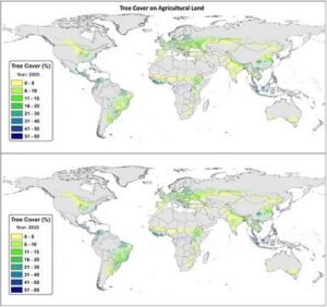 Nông lâm kết hợp giảm thiểu biến đổi khí hậu
