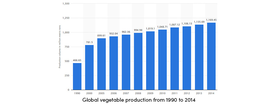Canh tác rau từ đầu
