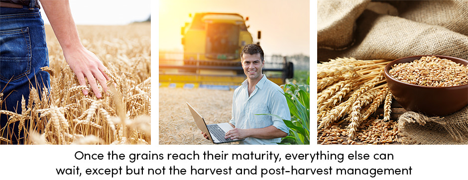 Thực hành trang trại sẽ đưa việc lưu trữ ngũ cốc lên một tầm cao mới