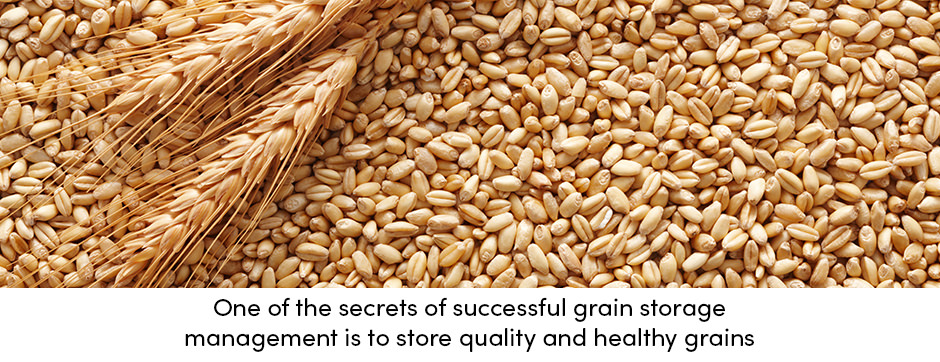 Thực hành trang trại sẽ đưa việc lưu trữ ngũ cốc lên một tầm cao mới