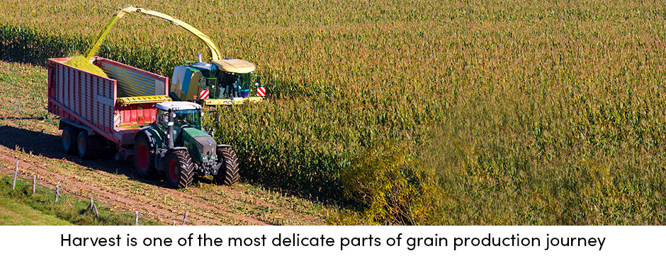 Máy thu hoạch ngũ cốc: Hỗ trợ thực sự trong những thời điểm nhạy cảm nhất
