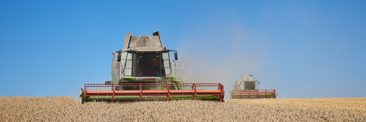 Chìa khóa để nâng cao năng suất nông nghiệp là quản lý trang trại hiệu quả