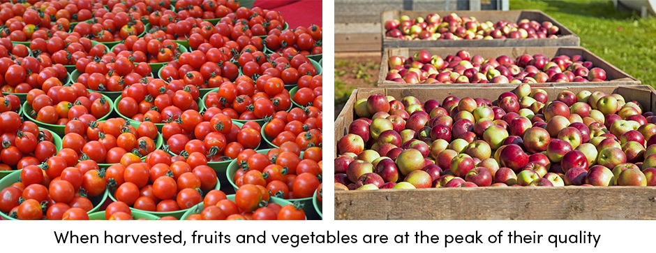 Làm cho việc lưu trữ khí quyển có kiểm soát trở thành một ưu tiên hàng đầu của bạn