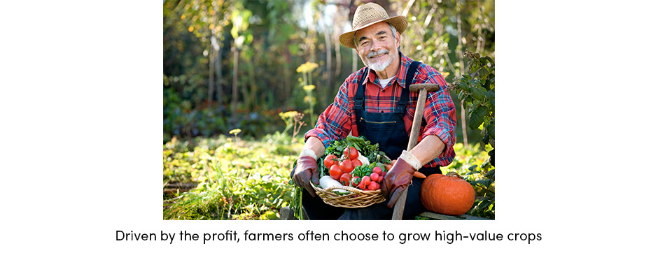 Làm cách nào để thu được nhiều loại cây trồng có giá trị cao hơn bằng cách sử dụng bản đồ năng suất?