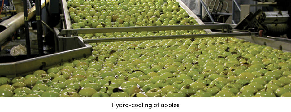 Làm mát trước thay đổi bộ mặt quản lý sau thu hoạch