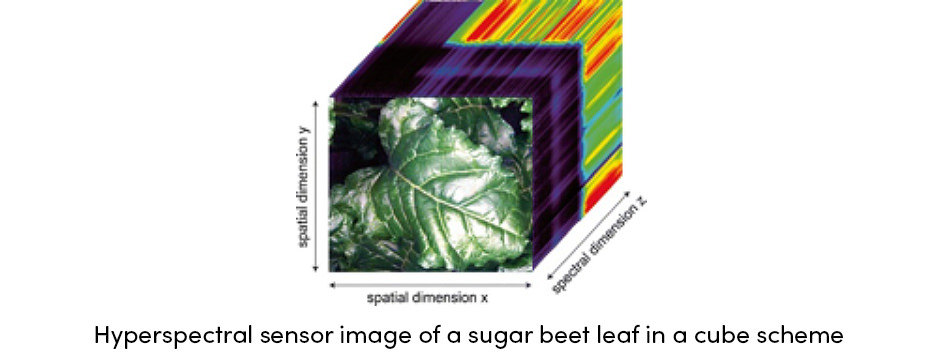 Cảm biến phát hiện dịch hại cây trồng