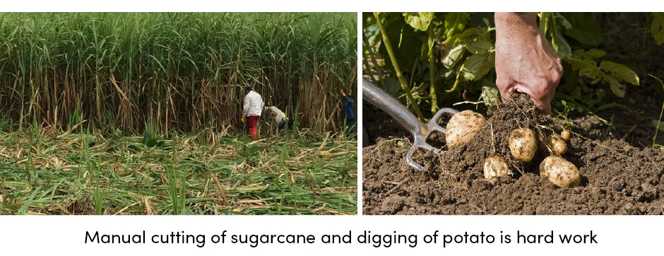 Tất cả các khía cạnh của thu hoạch cây trồng hợp lý