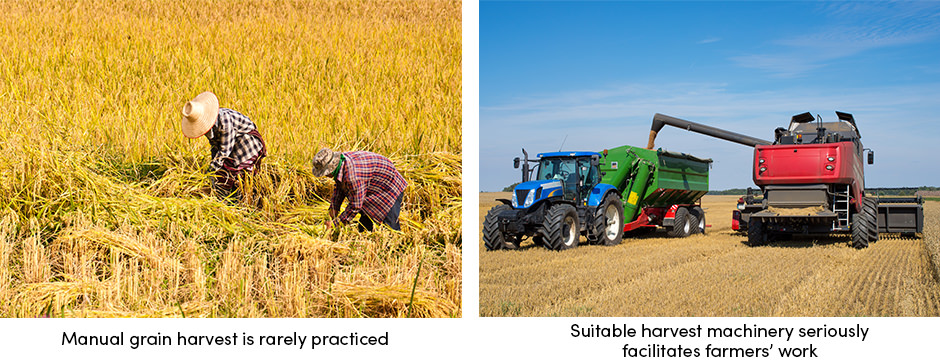 Máy thu hoạch ngũ cốc: Hỗ trợ thực sự trong những thời điểm nhạy cảm nhất