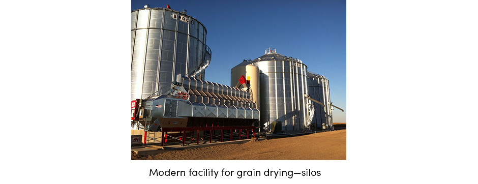 Sấy khô là một quy trình chính trong công nghệ sau thu hoạch