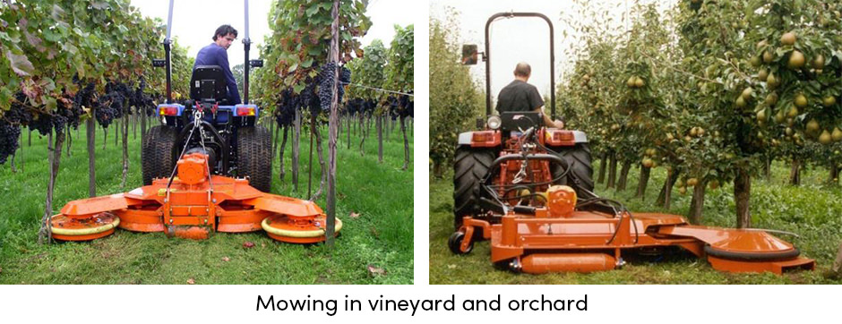 Cắt cỏ như một thực hành bảo trì đơn giản