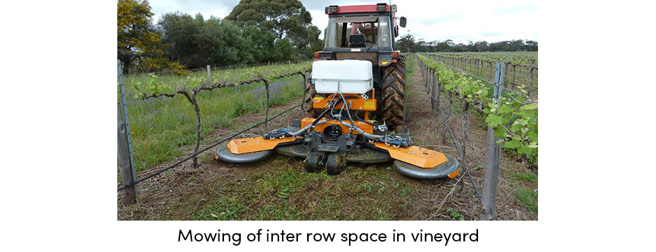 Làm thế nào để bảo dưỡng cây trồng thường xuyên mang lại năng suất ổn định?