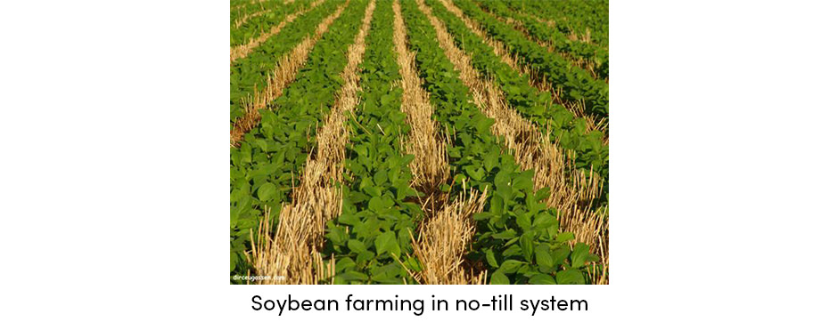 Canh tác không làm đất; Một bước tiến gần hơn đến sự bền vững