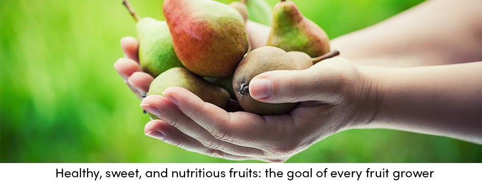 Máy cắt cỏ: Con đường rõ ràng dẫn đến vườn cây ăn quả được bảo trì tốt