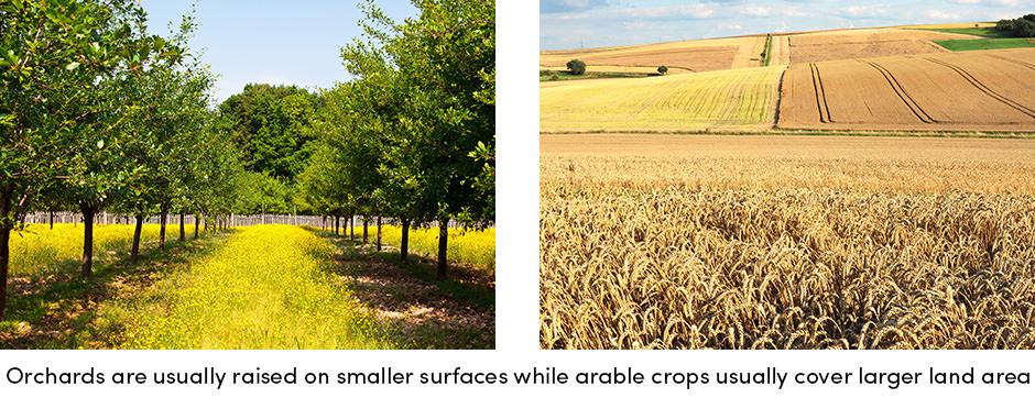 4 sự thật thực tế mà mọi nông dân nên biết