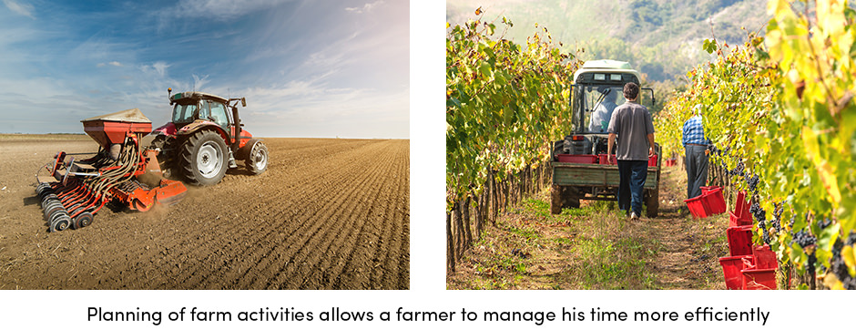 Tổ chức là chìa khóa để canh tác thành công