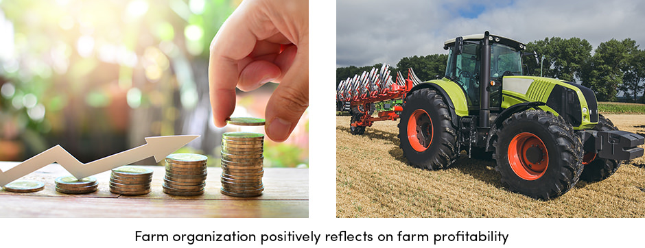 Tổ chức là chìa khóa để canh tác thành công