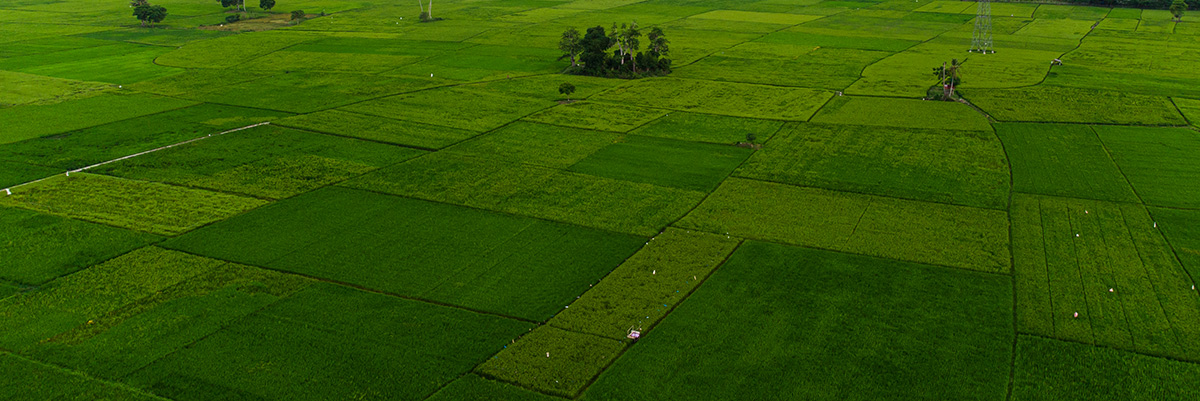 Giới thiệu về Nguyên tắc Nông nghiệp trường tồn và Quản lý Trang trại Kỹ thuật số