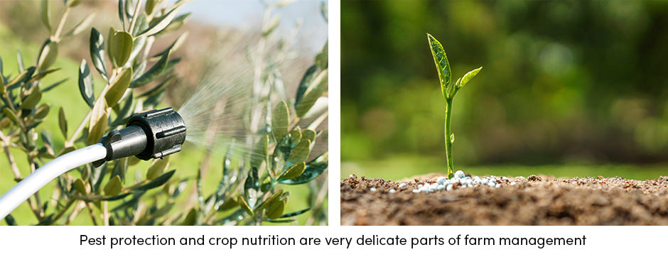 Các yếu tố để quản lý trồng trọt hợp lý