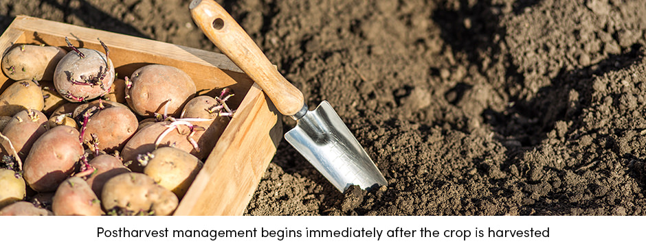 Năm yếu tố hàng đầu để giảm thiểu tổn thất thực phẩm trong kho