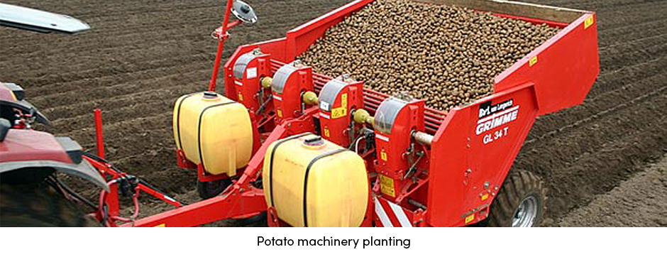 Thực tiễn đánh dấu sự khởi đầu của vòng đời cây trồng canh tác