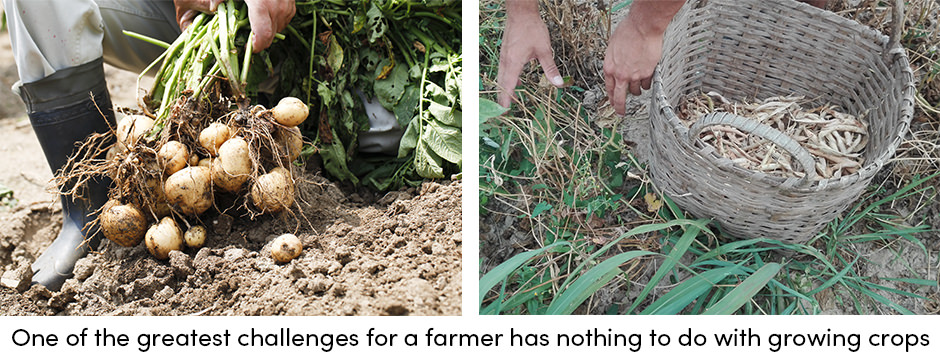 Phương pháp lưu trữ chi phí thấp như một giải pháp thay thế cho nông dân sản xuất nhỏ