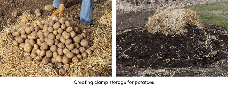 Phương pháp lưu trữ chi phí thấp như một giải pháp thay thế cho nông dân sản xuất nhỏ