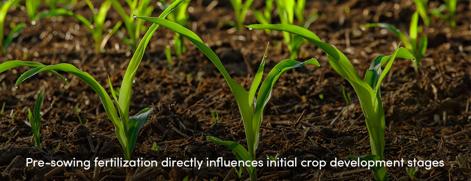 Bón phân trước khi gieo hạt: Bước cuối cùng trước khi gieo hạt