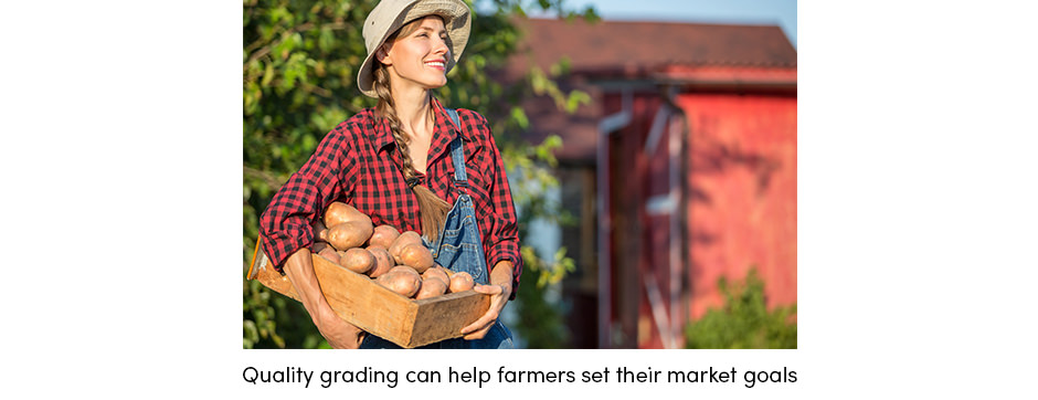 Phân loại chất lượng Chuẩn bị cây trồng cho thị trường