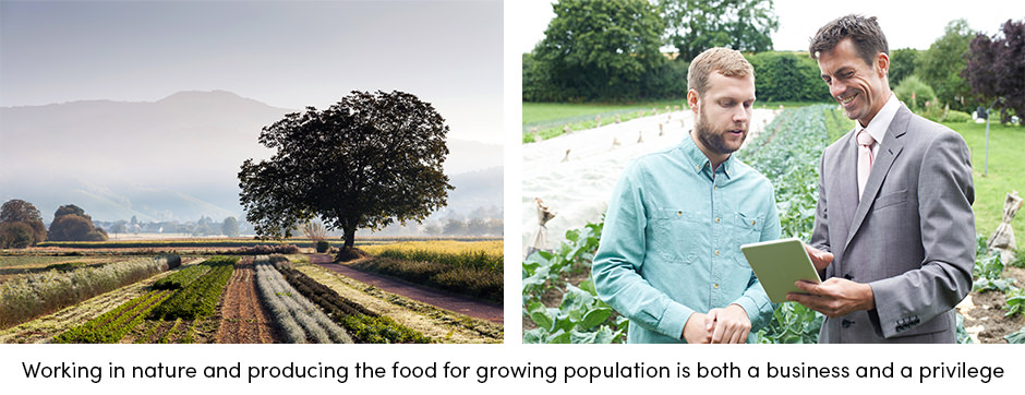 Phân loại chất lượng Chuẩn bị cây trồng cho thị trường