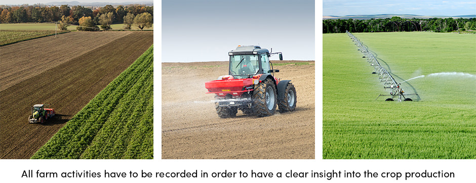 Thực hành trang trại tốt nhất để canh tác có lợi nhuận