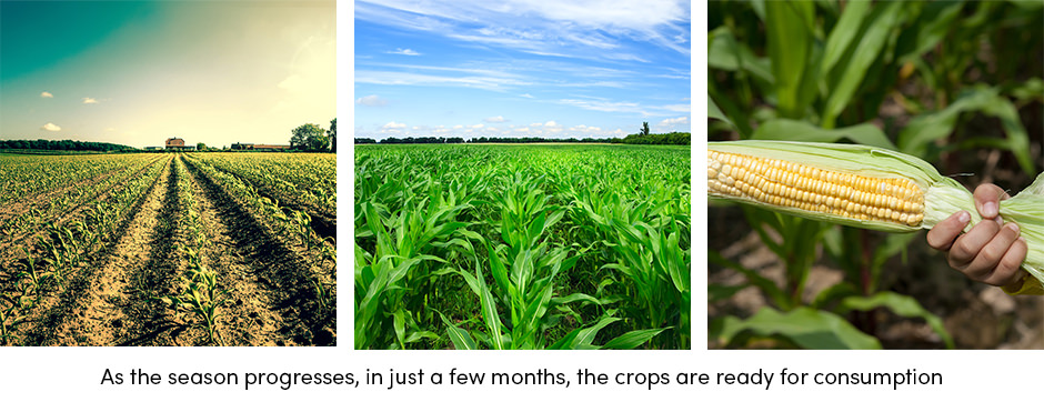 Năm yếu tố hàng đầu để giảm thiểu tổn thất thực phẩm trong kho