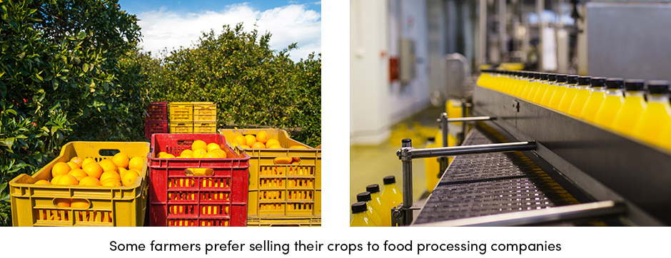 Đạt được sự xuất sắc trong hoạt động của chuỗi cung ứng