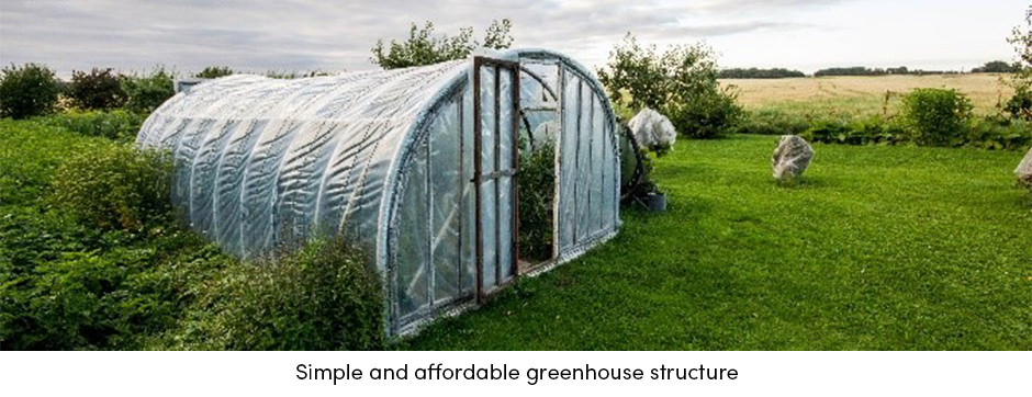 Vượt qua giới hạn thời tiết với canh tác trong nhà kính