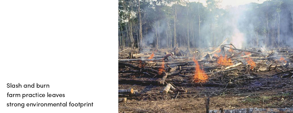 Bạn đã sẵn sàng mạo hiểm với ô nhiễm toàn cầu để đạt được mục tiêu không còn nạn đói?