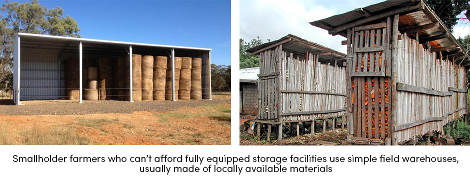 Phương pháp lưu trữ chi phí thấp như một giải pháp thay thế cho nông dân sản xuất nhỏ